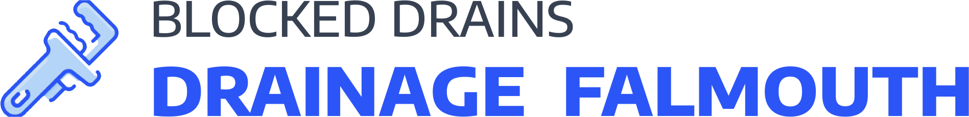 website logo